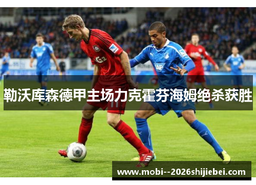 勒沃库森德甲主场力克霍芬海姆绝杀获胜 勒沃库森德甲主场力克霍芬海姆绝杀获胜